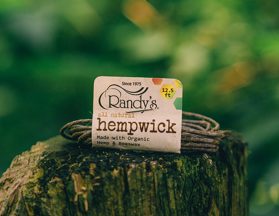 Hempwick on tree stump