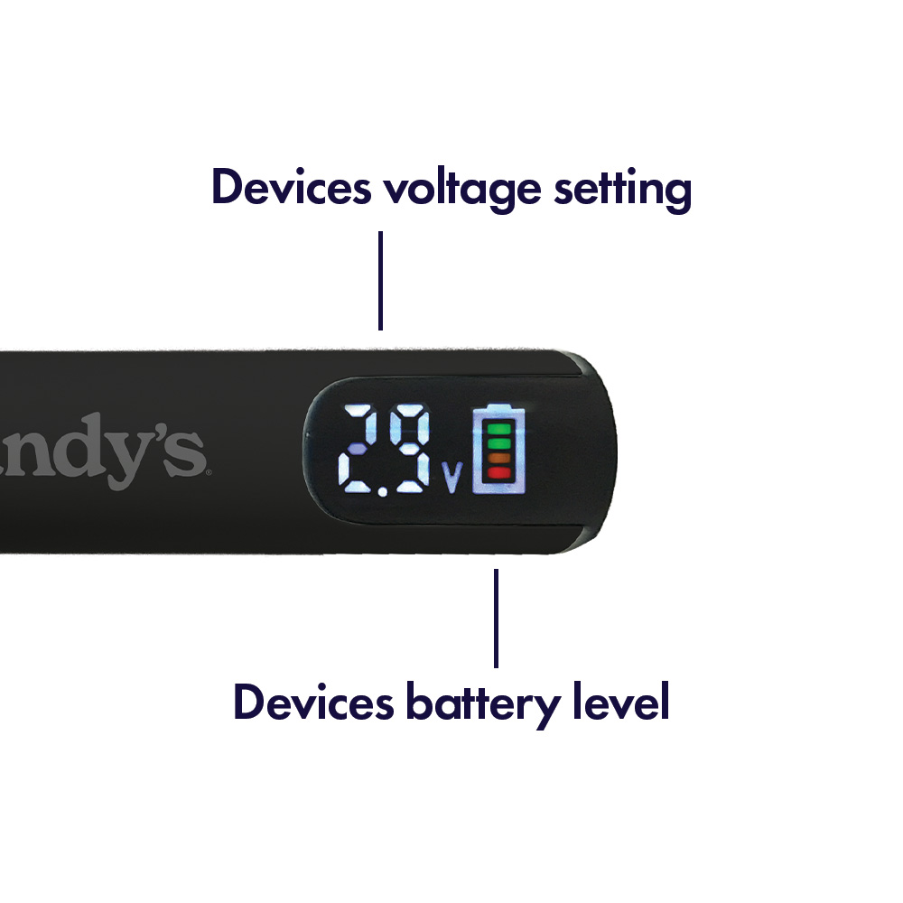 PEP Pen Battery - Image 2